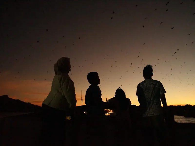 Children watching fruit bats at sunset near Kalong Island