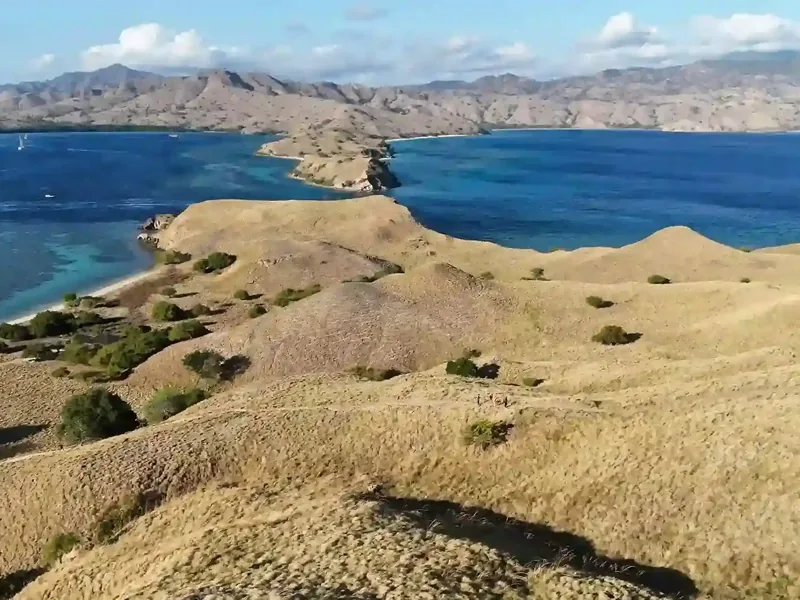 Komodo National Park Private Cruise: Your 2027 Insider Checklist