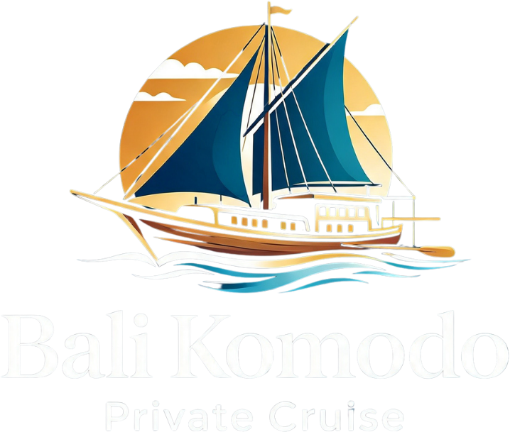 Bali Komodo Private Cruise