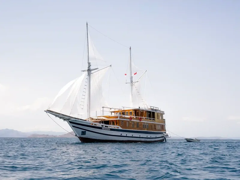 White-sailed phinisi on the Komodo sea