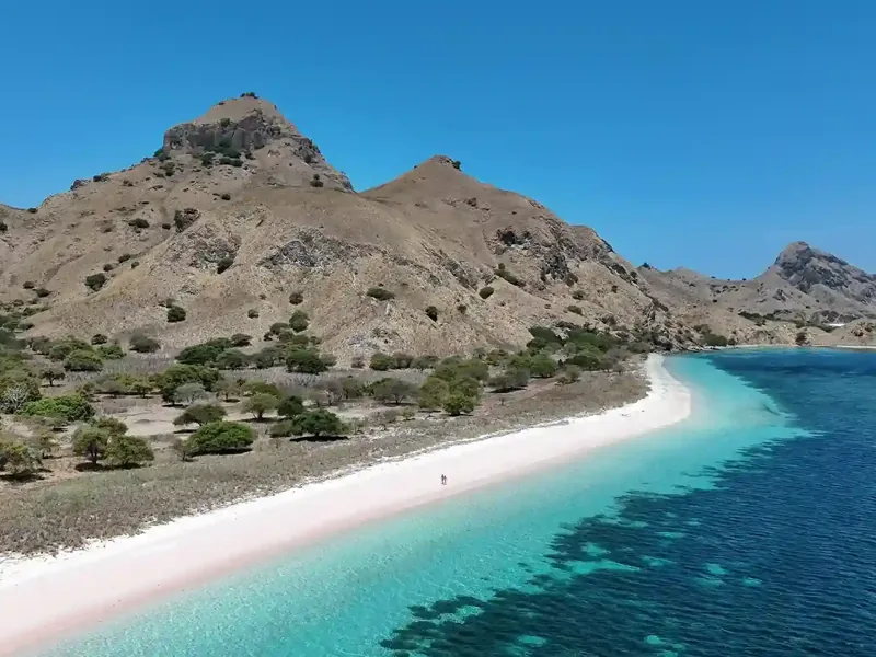 Pink Beach and Beyond: Best Beaches to Visit on a Komodo Private Cruise
