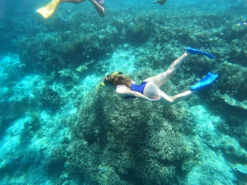 Snorkeler over coral gardens in Komodo National Park