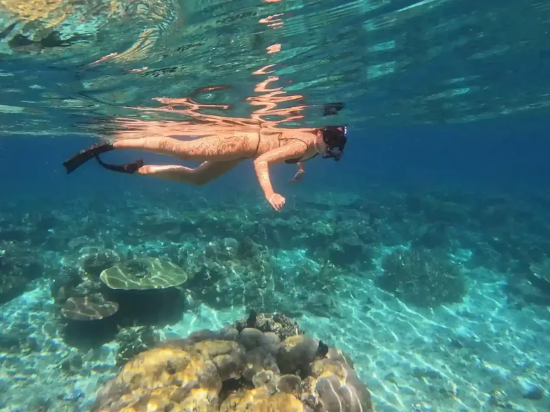 Snorkeling Komodo On A Private Cruise (Non-Divers Guide)