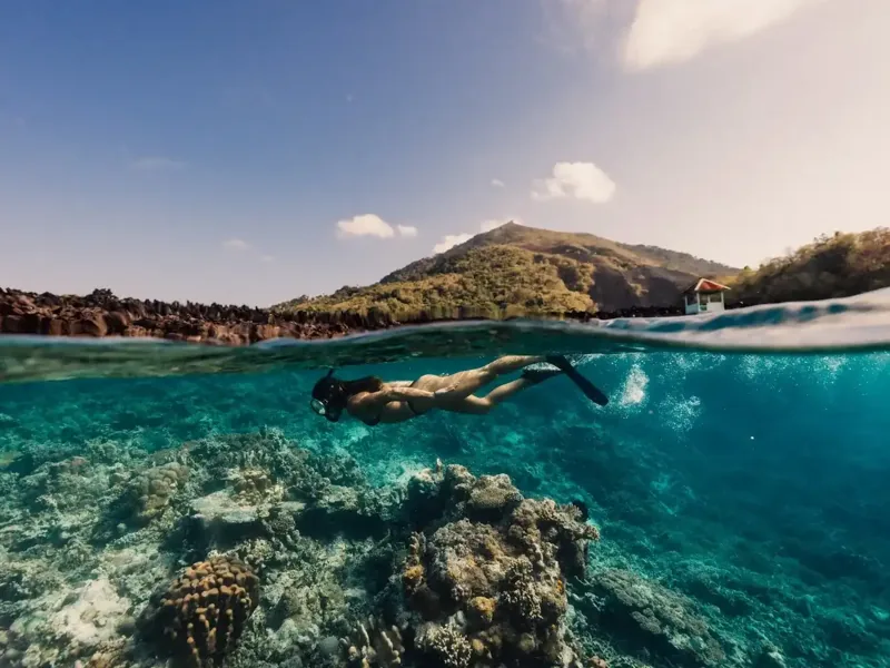 Split view of a snorkeler above a Komodo reef