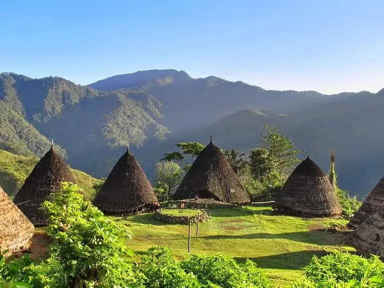 Traditional conical houses of Waerebo village, Flores